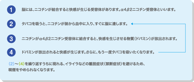 ニコチン依存症について